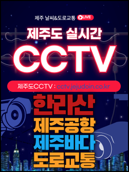 제주도CCTV#2.png