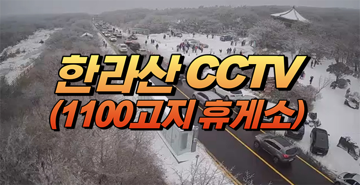 한라산 1100고지(1100도로) 휴게소 실시간 CCTV 영상 플랫폼 사이트 『한라산1100고지CCTV』
